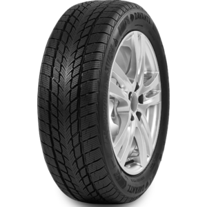 Delinte DS8 275/30/19 - Summer 96W (Fuel-E Grip-B dB-73)