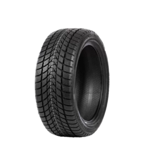 Delinte WD1 205/65/16 - Winter 95H (Fuel-C Grip-B dB-72)