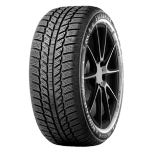 175/65HR15 EVERGREEN EW62 WINT