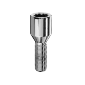 TUNER BOLT 12X1.50 X22 60º D20 ZINC