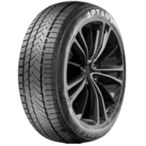 205/55R17 Aptany RW211 WINTER-MAX A1 95V