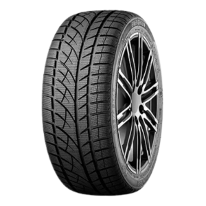 255/50R19 Evergreen EW-66 107H