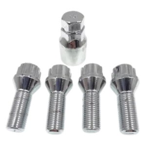 LOCK BOLT 60º 12X1.25 X42 19 HEX CHR